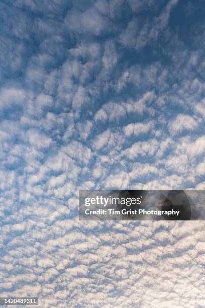 clouds at sunset - 巻積雲 ストックフォトと画像
