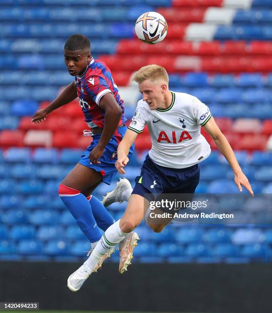 Victor Akinwale of Crystal Palace and Harvey White of Tottenham Hotspur battle for the ball during the Premier League 2 match between Crystal Palace...