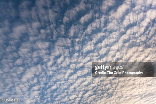 clouds at sunset - altocumulus stock pictures, royalty-free photos & images