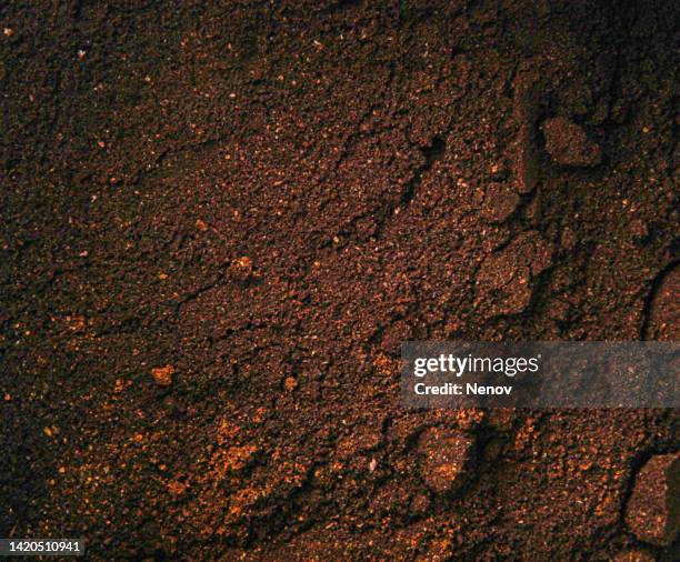 close-up photo of freshly ground coffee - coffee close up stock pictures, royalty-free photos & images