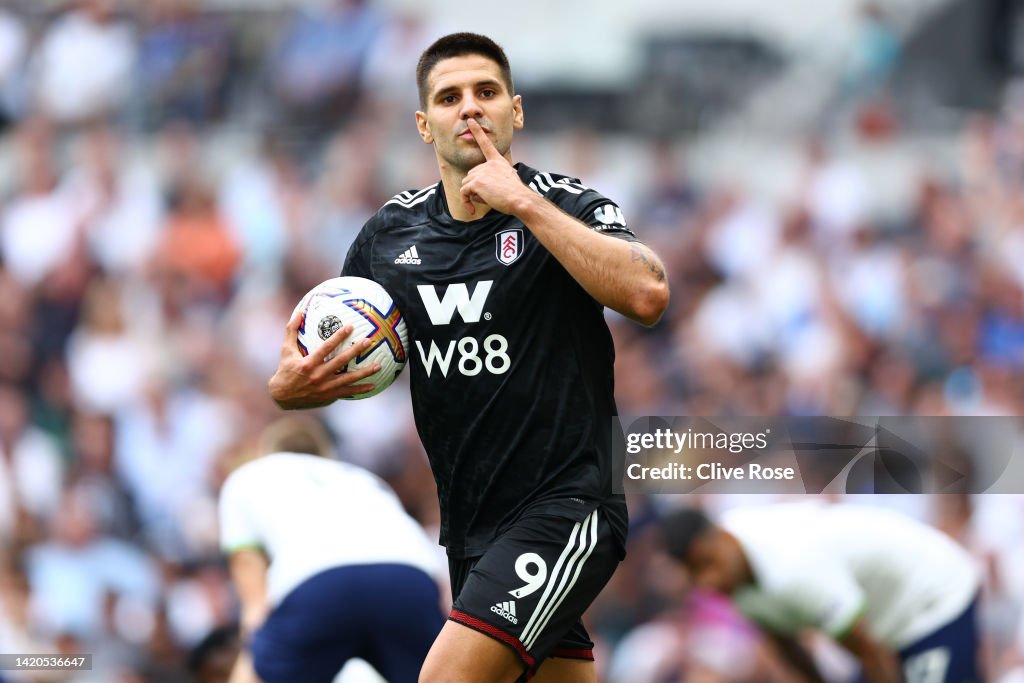 Tottenham Hotspur v Fulham FC - Premier League