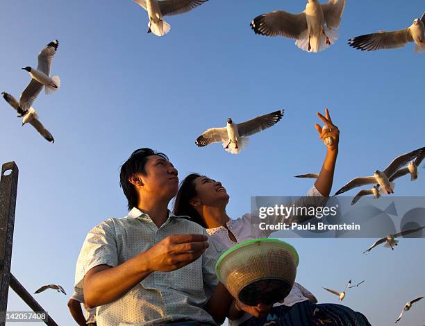 Burmese feed the seagulls at a jetty along the Yangon river ahead of the parliamentary elections on March 29, 2012 in Yangon, Myanmar. The upcoming...