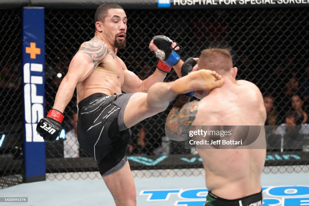 UFC Fight Night: Whittaker v Vettori