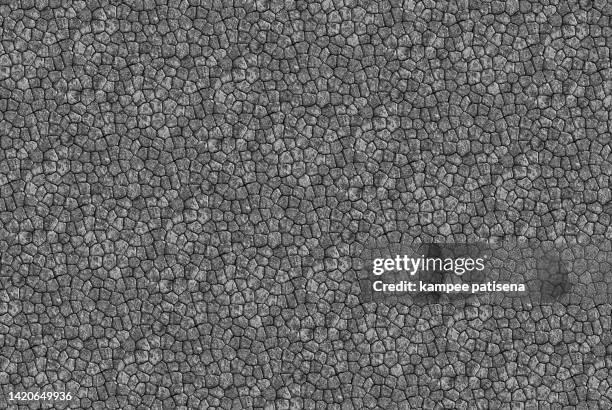 reptile leather texture background - rough scale python fotografías e imágenes de stock