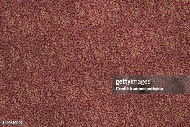 reptile leather texture background - rough scale python fotografías e imágenes de stock
