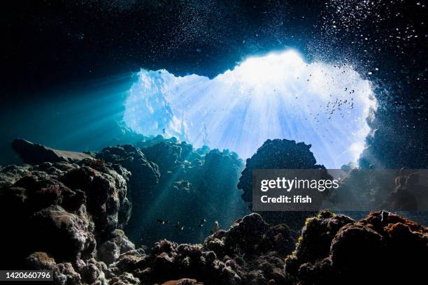 spectacular view: looking up to the entrance of a cave, palau, micronesia - palau stock pictures, royalty-free photos & images