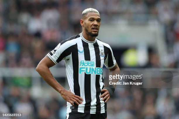 Joelinton of Newcastle United in action during the Premier League match between Newcastle United and Crystal Palace at St. James Park on September...