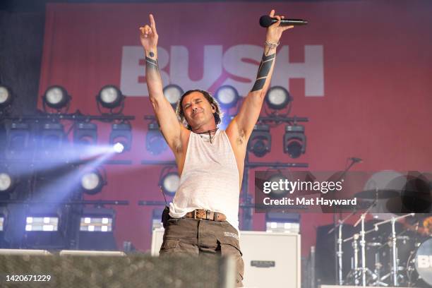 Gavin Rossdale of Bush performs onstage during the Pain In The Grass music festival presented by 99.9 KISW at White River Amphitheatre on September...