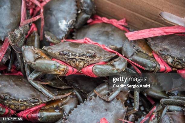 970 Crabs For Sale Stock Photos, High-Res Pictures, and Images - Getty