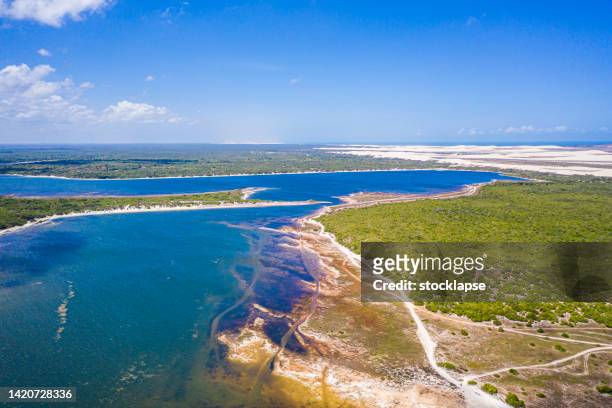 paradise lagoon view from above, jericoacoara, ceara, brazil - jericoacoara stockfoto's en -beelden