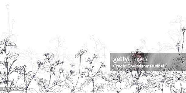 illustrazioni stock, clip art, cartoni animati e icone di tendenza di sagome nere di erba, fiori ed erbe isolate su sfondo bianco. schizzo disegnato a mano fiori e insetti. - fiore di campo