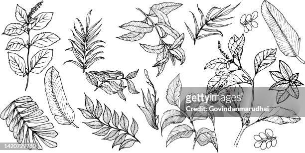 black silhouettes of grass, flowers and herbs isolated on white background. hand drawn sketch flowers and insects. - black and white hands 幅插畫檔、美工圖案、卡通及圖標