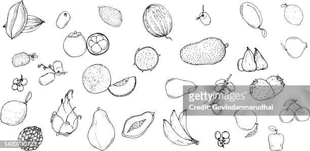 stockillustraties, clipart, cartoons en iconen met collection of hand drawn fruits and vegetables doodle set of  icons on white background. - carrots white background