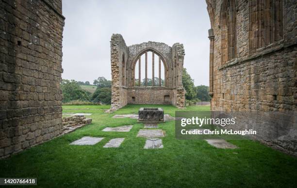 abandoned abbey in teesdale - barnard castle 個照片及圖片檔