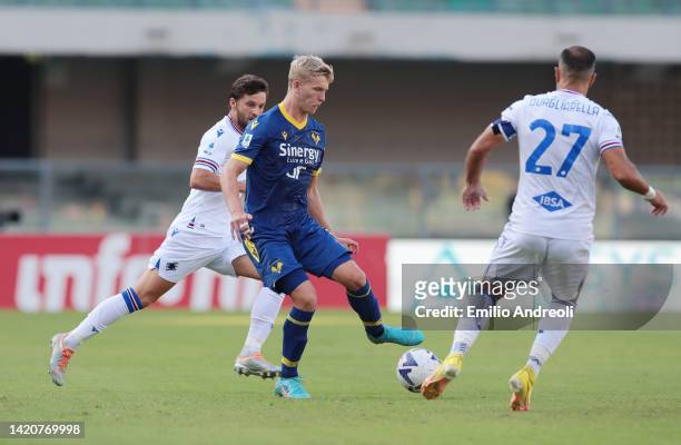 Josh Doig of Hellas Verona passes during the Serie A match between Hellas Verona and UC Sampdoria at Stadio Marcantonio Bentegodi on September 04,...