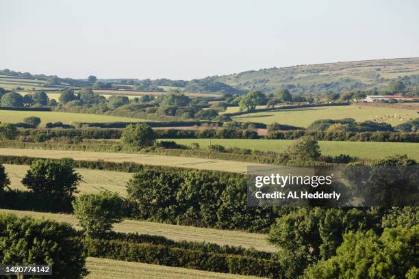 view of cornish rural landscape - bodmin moor foto e immagini stock