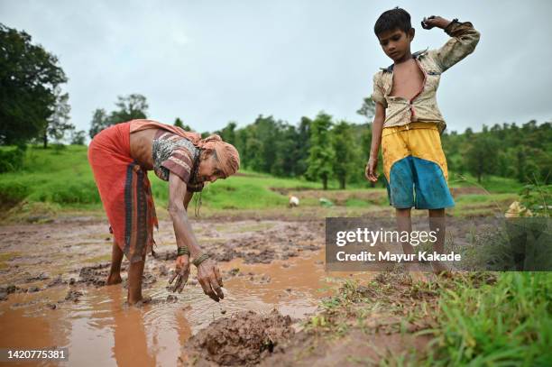 a senior woman farmer working in an agricultural field - maharashtra stockfoto's en -beelden