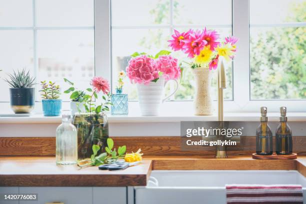 arranging cut flowers from late summer in the kitchen - hydrangea lifestyle stockfoto's en -beelden