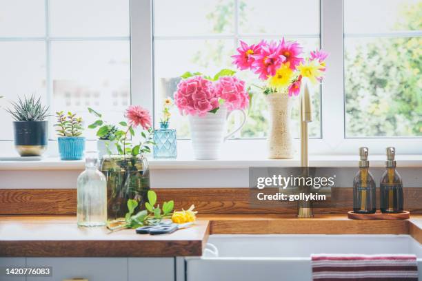 arranging cut flowers from late summer in the kitchen - wood ledge stock pictures, royalty-free photos & images