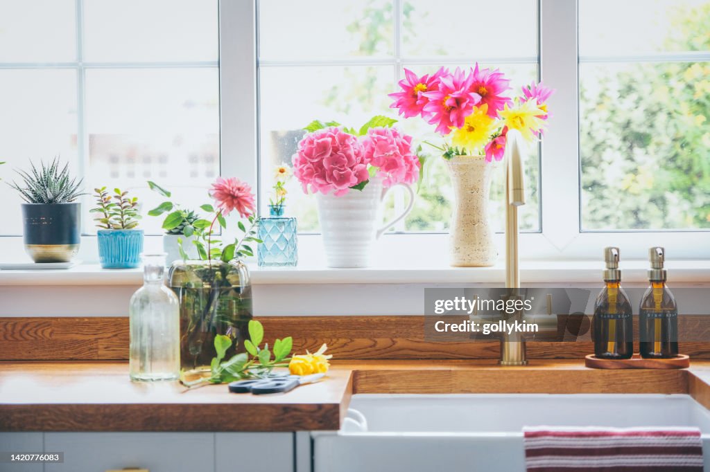 Arranging cut flowers from late summer in the kitchen