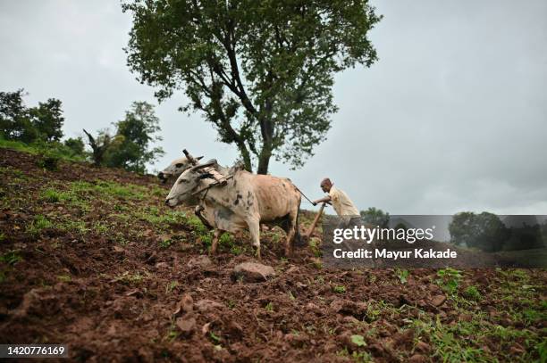 a farmer ploughing in an agricultural field - ploughed field stock pictures, royalty-free photos & images