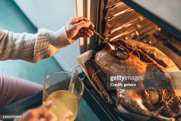 woman preparing goose roast in oven for christmas dinner - goose meat stock pictures, royalty-free photos & images