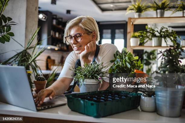 junge botanikerin prüft online-bestellungen auf dem laptop - florista stock-fotos und bilder