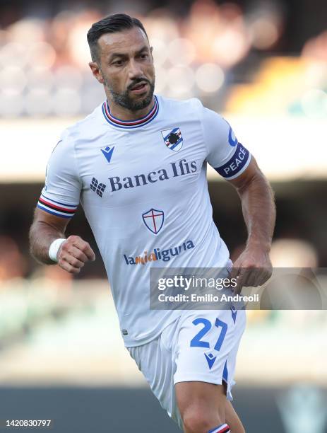 Fabio Quagliarella of UC Sampdoria looks on during the Serie A match between Hellas Verona and UC Sampdoria at Stadio Marcantonio Bentegodi on...