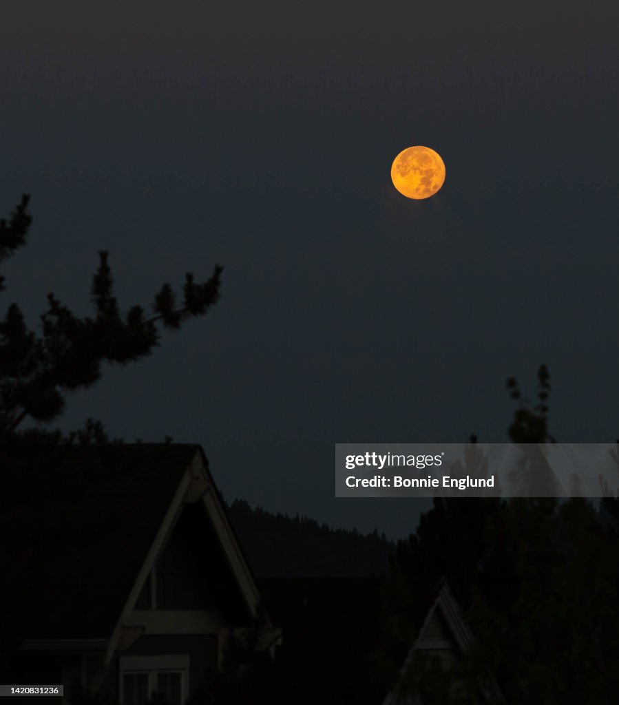 Orange Moon