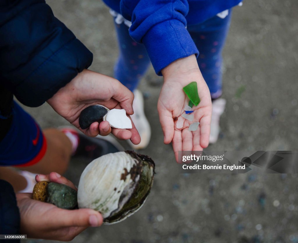 Beach Treasures