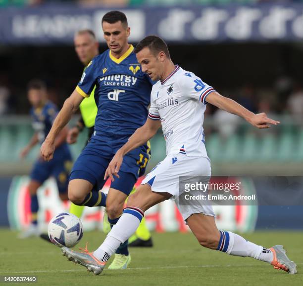 Valerio Verre of UC Sampdoria is challenged by Kevin Lasagna of Hellas Verona during the Serie A match between Hellas Verona and UC Sampdoria at...