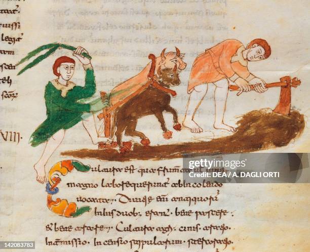 Plowing, miniature from De universo by Rabano Mauro, manuscript, Italy 11th Century.