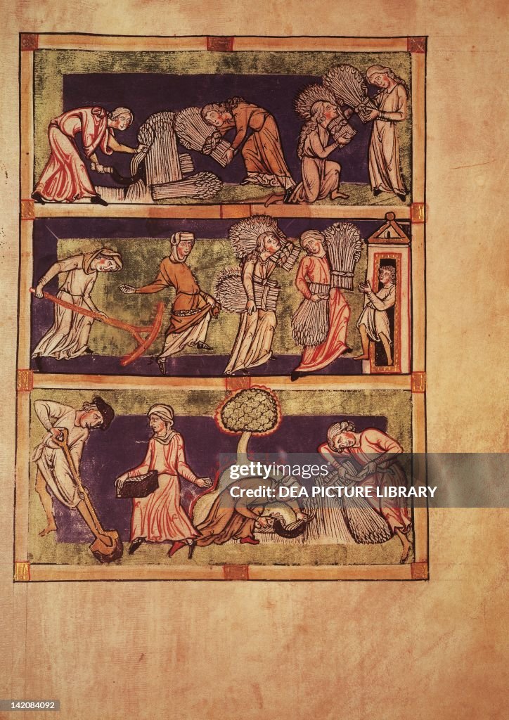 Fruits of marriage, widowhood and virginity