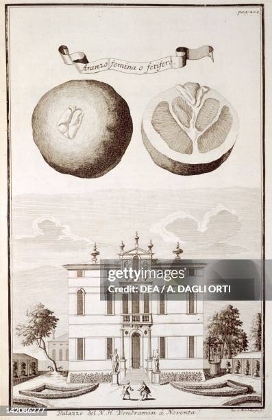 22 Noventa Padovana Stock Photos, HighRes Pictures, and Images Getty