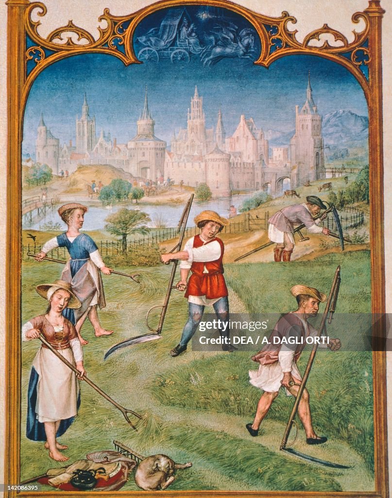 The month of June, Grimani Breviary