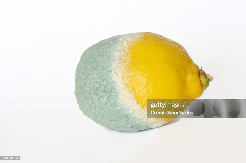 2 Rotten Lemons Half Rotten Lemon High-Res Stock Photo - Getty Images