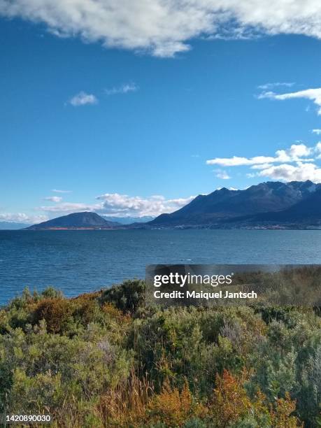 playa larga, near ushuaia, patagonia - argentina - darwin island fotografías e imágenes de stock