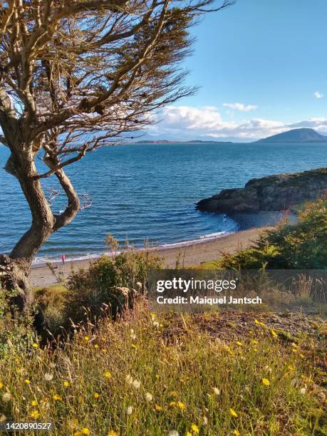 playa larga, near ushuaia, patagonia - argentina - tierra del fuego province chile stock pictures, royalty-free photos & images