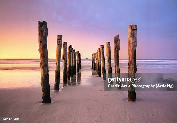 st clair beach, dunedin, south island, new zealand - christchurch región de canterbury fotografías e imágenes de stock