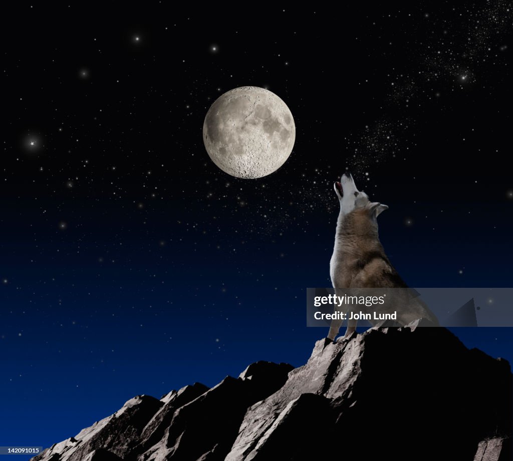 Moon Wolves Wolf Howling At The Moon How To Draw A Wolf Howling Really Easy
