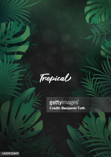 tropical background with palm leaves - monstera stock illustrations