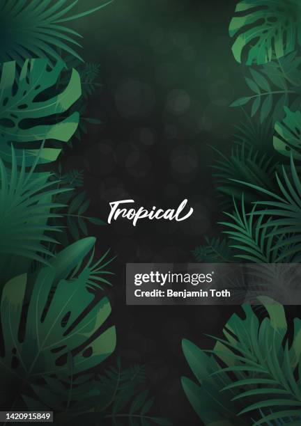 tropical background with palm leaves - motif tropical 幅插畫檔、美工圖案、卡通及圖標