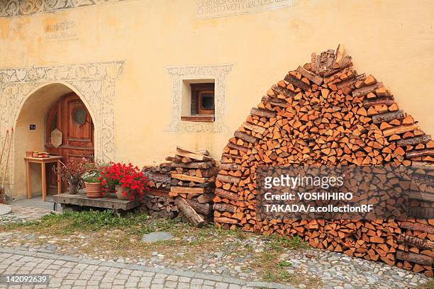 pile of logs by wall - guarda switzerland fotografías e imágenes de stock