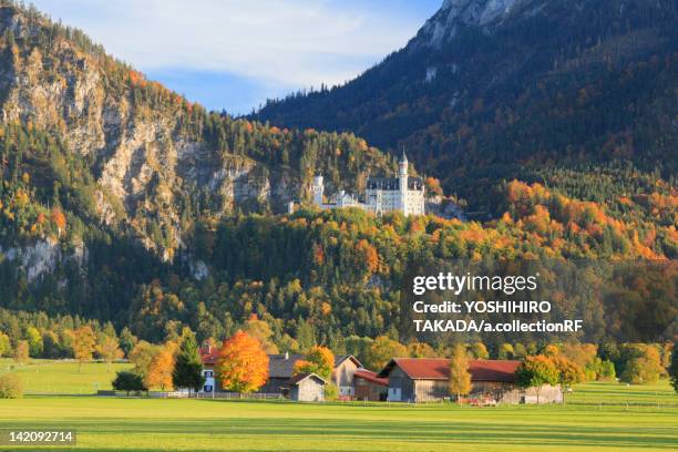 neuschwanstein castle in autumn - neuschwanstein castle stock pictures, royalty-free photos & images