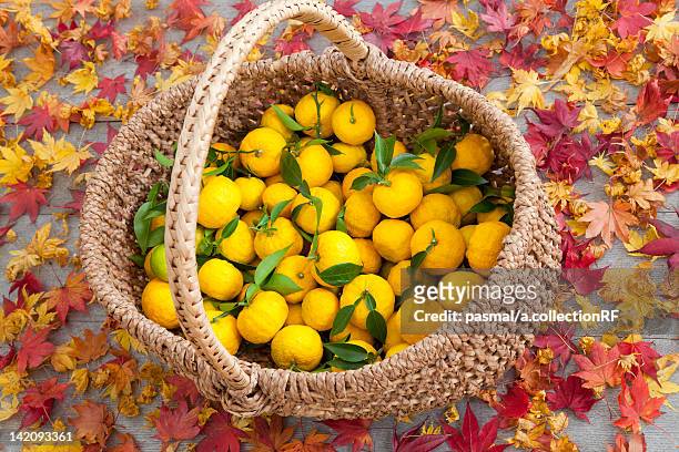 yuzu fruits in basket - yuzu stock pictures, royalty-free photos & images