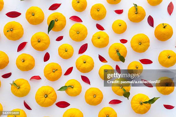 yuzu citrus fruit - yuzu photos et images de collection