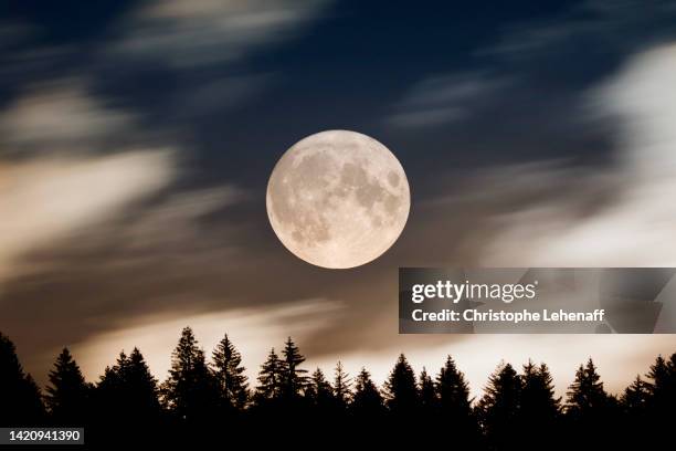 the super moon of august 2022 - sturgeon stock pictures, royalty-free photos & images