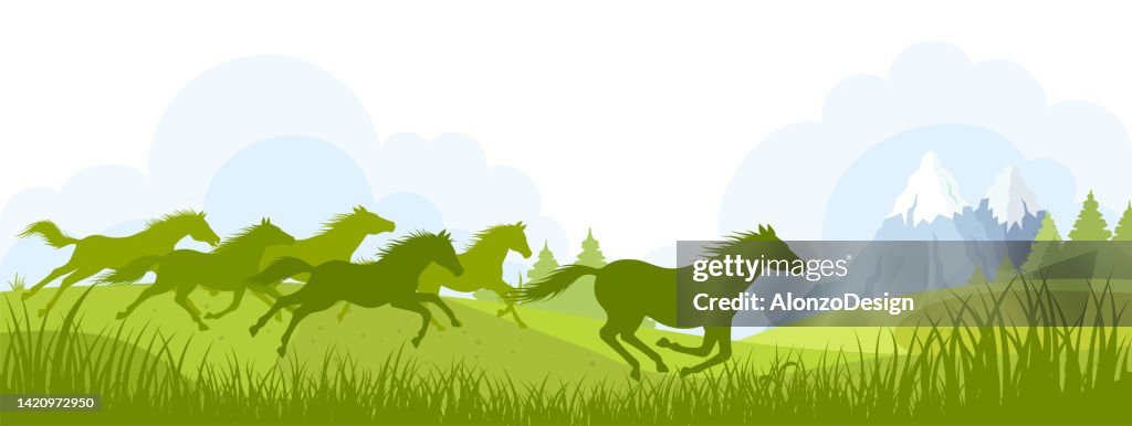Freedom. Running Wild Horses.