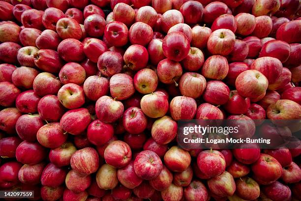 red apples lay in a pile at a fruit stand in maryland, usa. - apple fotografías e imágenes de stock