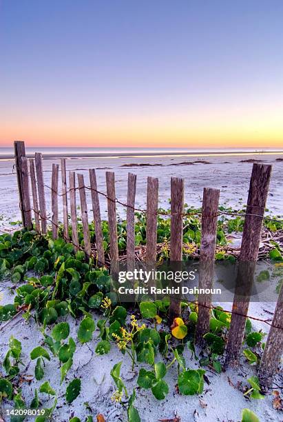 a wooden beach fence at sunset on hilton head island, south carolina. - hilton head photos et images de collection